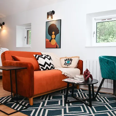 Charmant Studio Caluire Et Cuire - Lyon Extérieur photo