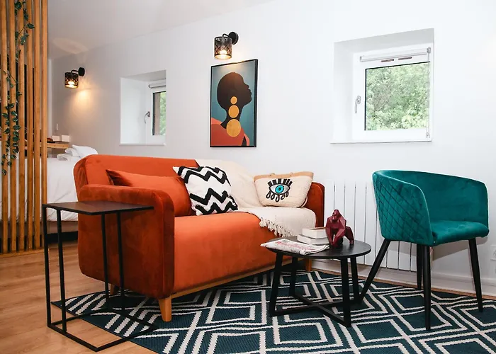 Charmant Studio Caluire Et Cuire - Lyon